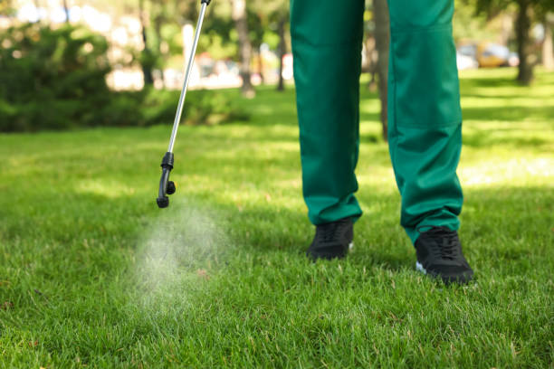 Best Flea Control Services  in Brownwood, TX