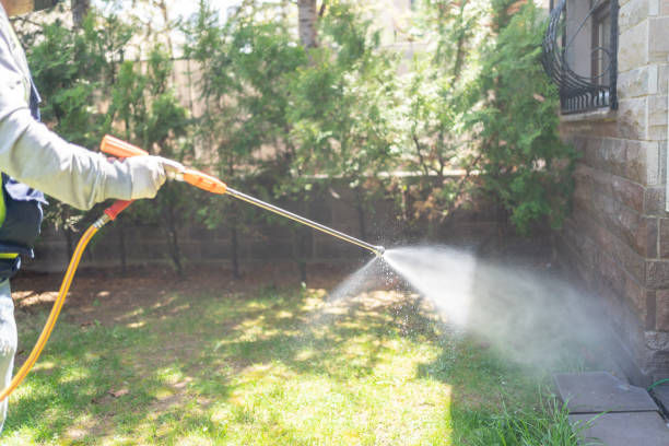 Bird Control in Brownwood, TX