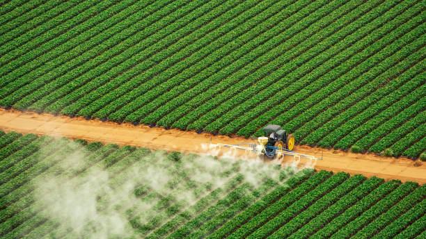 Trusted Brownwood, TX Pest Control Experts