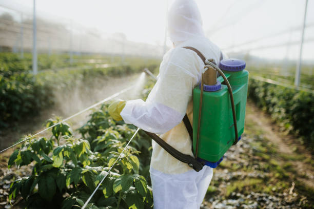 Best Pest Prevention Services  in Brownwood, TX